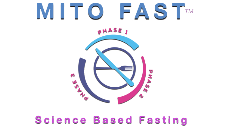 mito-fast1 (Demo)